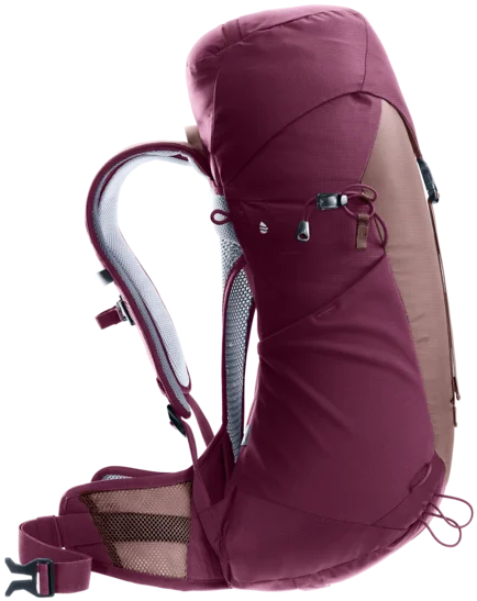 Deuter AC Lite 22 SL