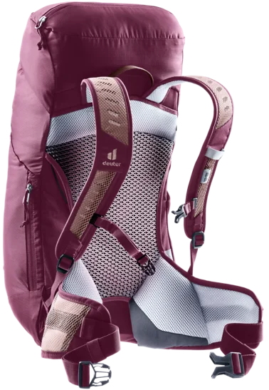 Deuter AC Lite 22 SL