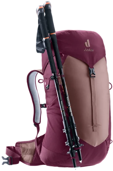 Deuter AC Lite 22 SL