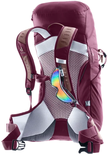 Deuter AC Lite 22 SL
